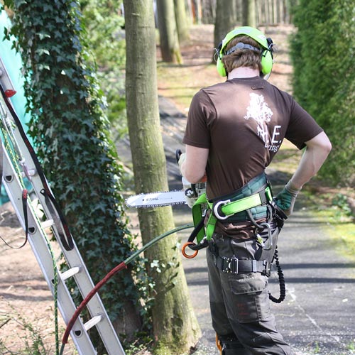 Hielke Engeltjes Boomspecialist