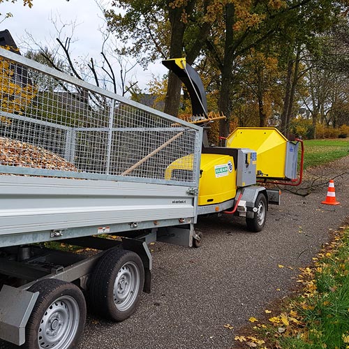 Hielke Engeltjes Boomspecialist