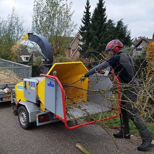 Hielke Engeltjes Boomspecialist